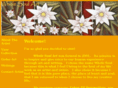 wholesoulart.com
