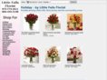 littlefallsflorist.com