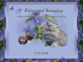 princepssenatus.com