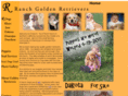 rranchgoldens.com