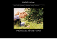 heidihahn.com
