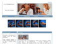 hs-plaster.com