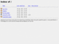 inet-worldwide.com