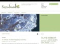senseworlds.com