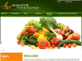singaporefva.com