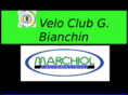 vcgbianchin.com