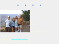 aaronstein.com