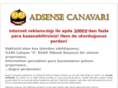 adsensecanavari.com