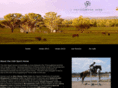 cottesbrookparkirishsporthorses.com