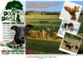 dogdayscamp.com