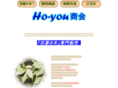 ho-you.com