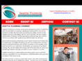 plumbingseattle.org