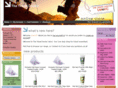 shoptraveldoctor.com