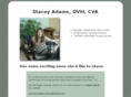 staceyadamsdvm.com