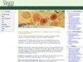 vincitgroup.com