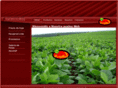 coopbergthal.com