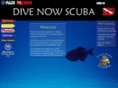 divenowscuba.com