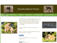 kasankababoonproject.com