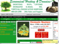 economicalhostinganddomains.com