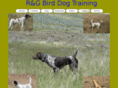 rgbirddogtraining.com