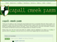 capallcreek.com