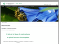 ibinternationalproject.com