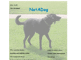 notadog.org.uk