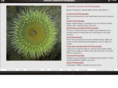 ralphwunsch.com