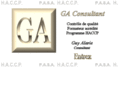 ga-consultant.com