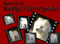 kenjosamoyeds.com