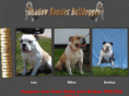 myshadowbulldogs.com