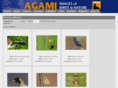 agami.nl