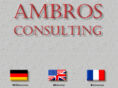 ambros-consulting.com