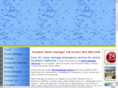 dry-water-damage-professionals.com