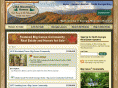ibamountainhomes.com