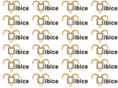 ibice.net