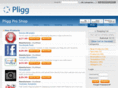 pliggpro.com