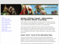 seniorcitizentravelinfo.com