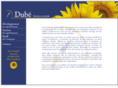 dubeservicesconseils.com
