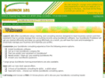 launch101.com