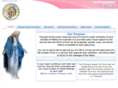 stmaryavservice.com
