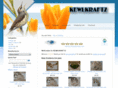 wynport.com