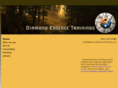 diamondessencetrainings.com