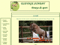 les-poneys-sunday.com