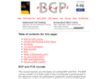 bgpexpert.com