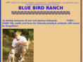 bluebirdranch.org