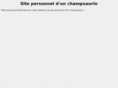 champsaurin.com