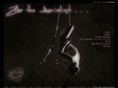 zitatheaerialist.com