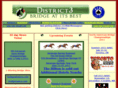 bridge-district3.org