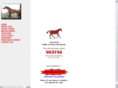 btrhorse.com